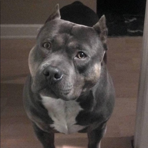 Meet your Posher, Edward - Picture 1 of 1